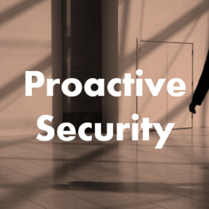 Principles of Proactive Security