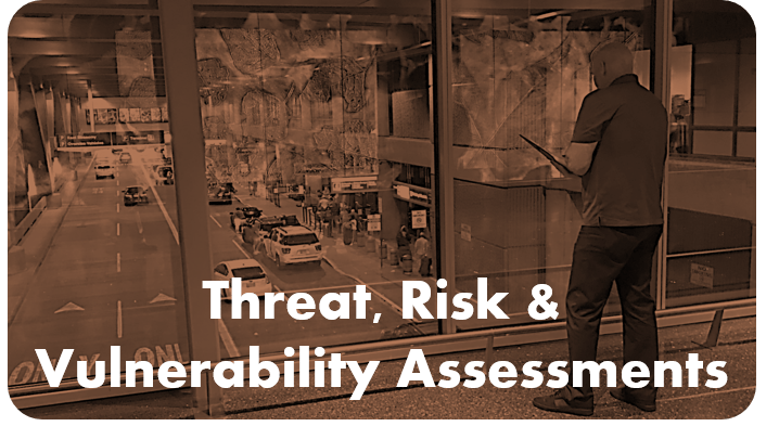 Threat Risk and Vulnerability Assessments By chameleon