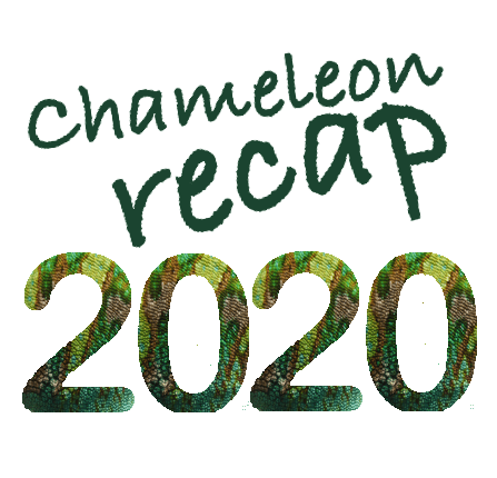 Chameleon Recap 2020