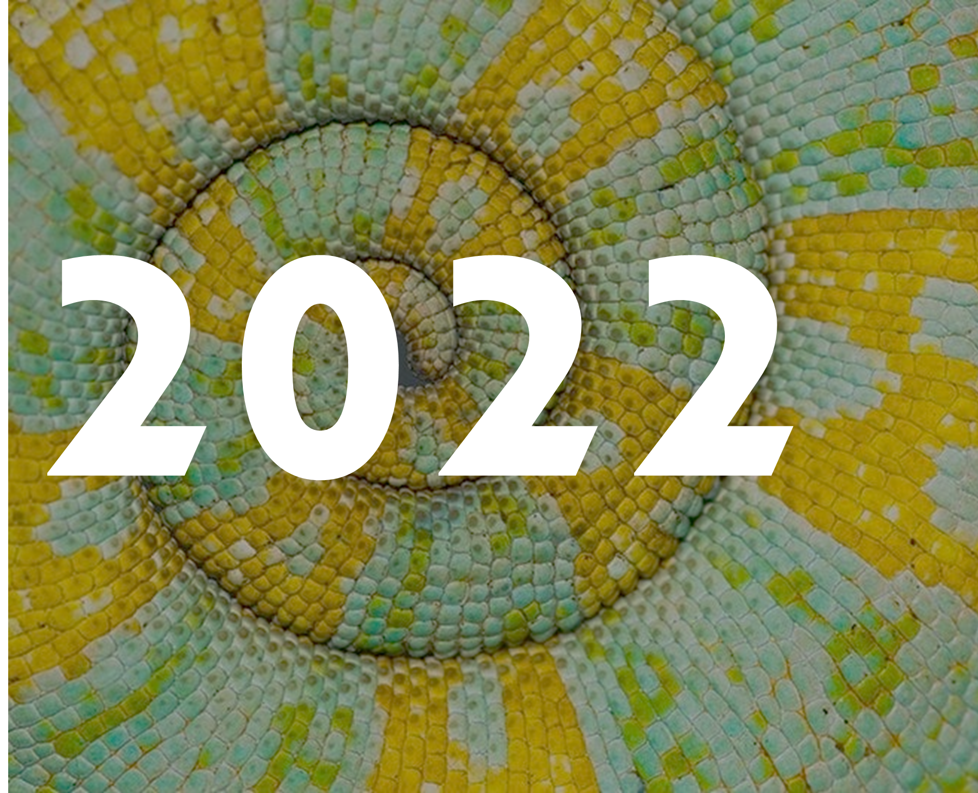 2022