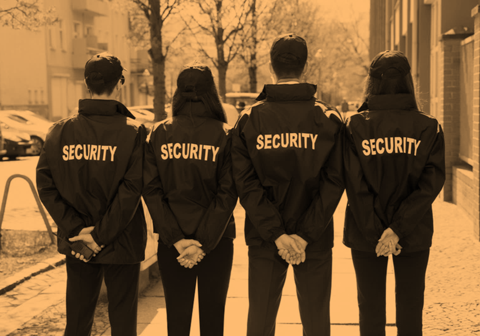 Security Officers Security Officers